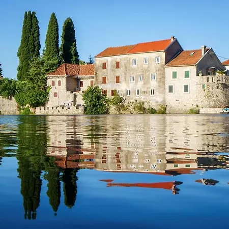 Vida * טרביניה