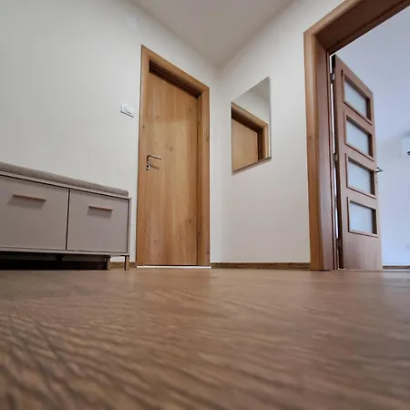 Apartment Vida